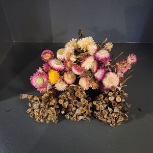 6 Little Real Dried Pod And Flower Bouquets.